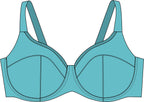 Blue bra drawing on a white background