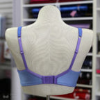 Pin-Up Girls Pattern Classic Full Band Bra