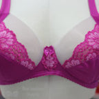 Pin-Up Girls Pattern Shelley Full Band Bra