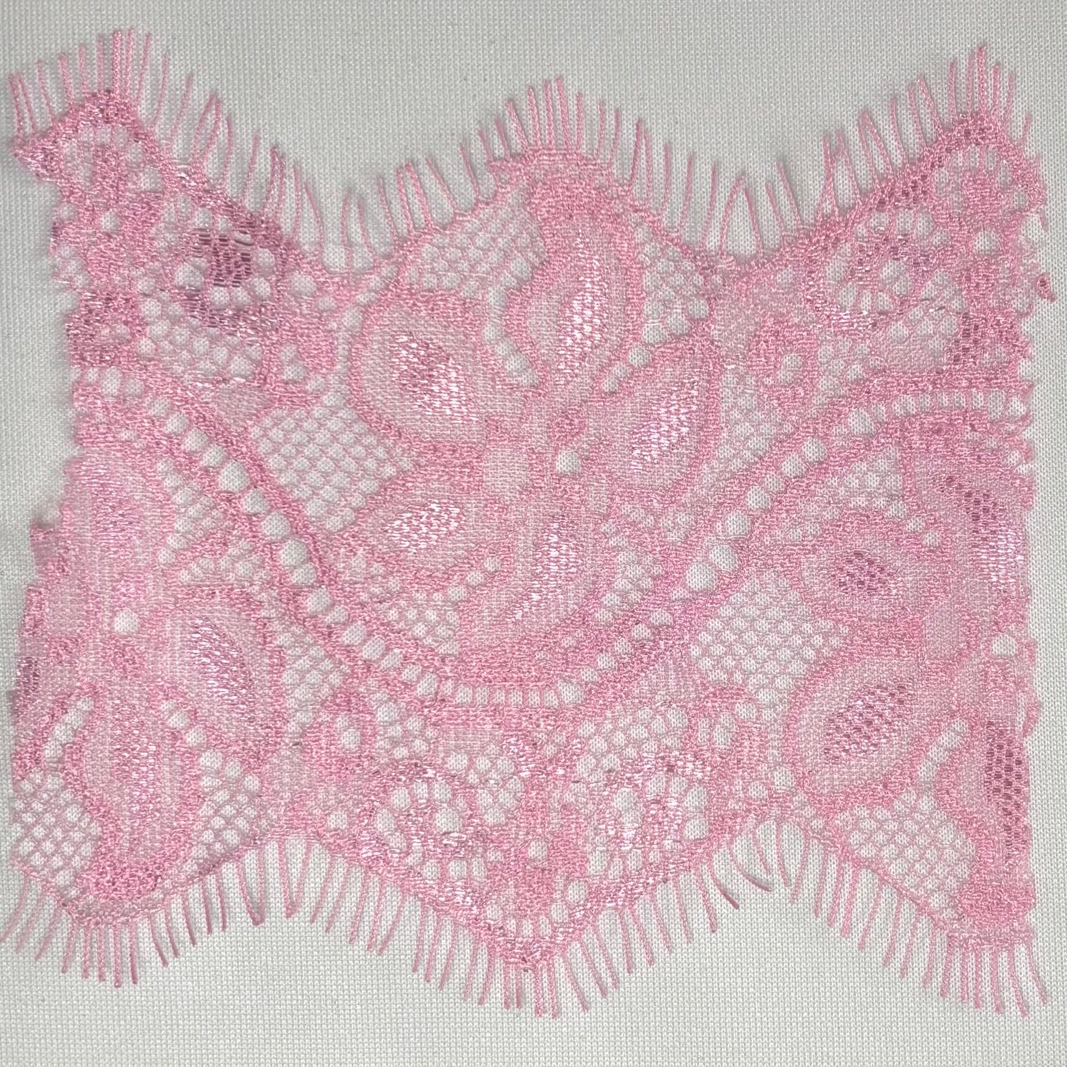 Eyelash Lace White