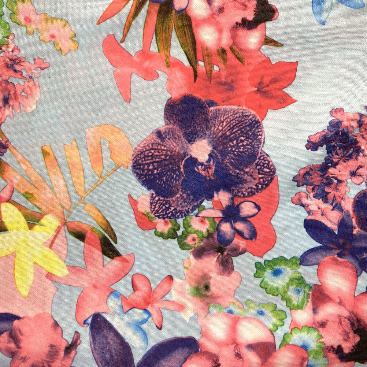 Scuba Pink Light Blue Purple Flowers