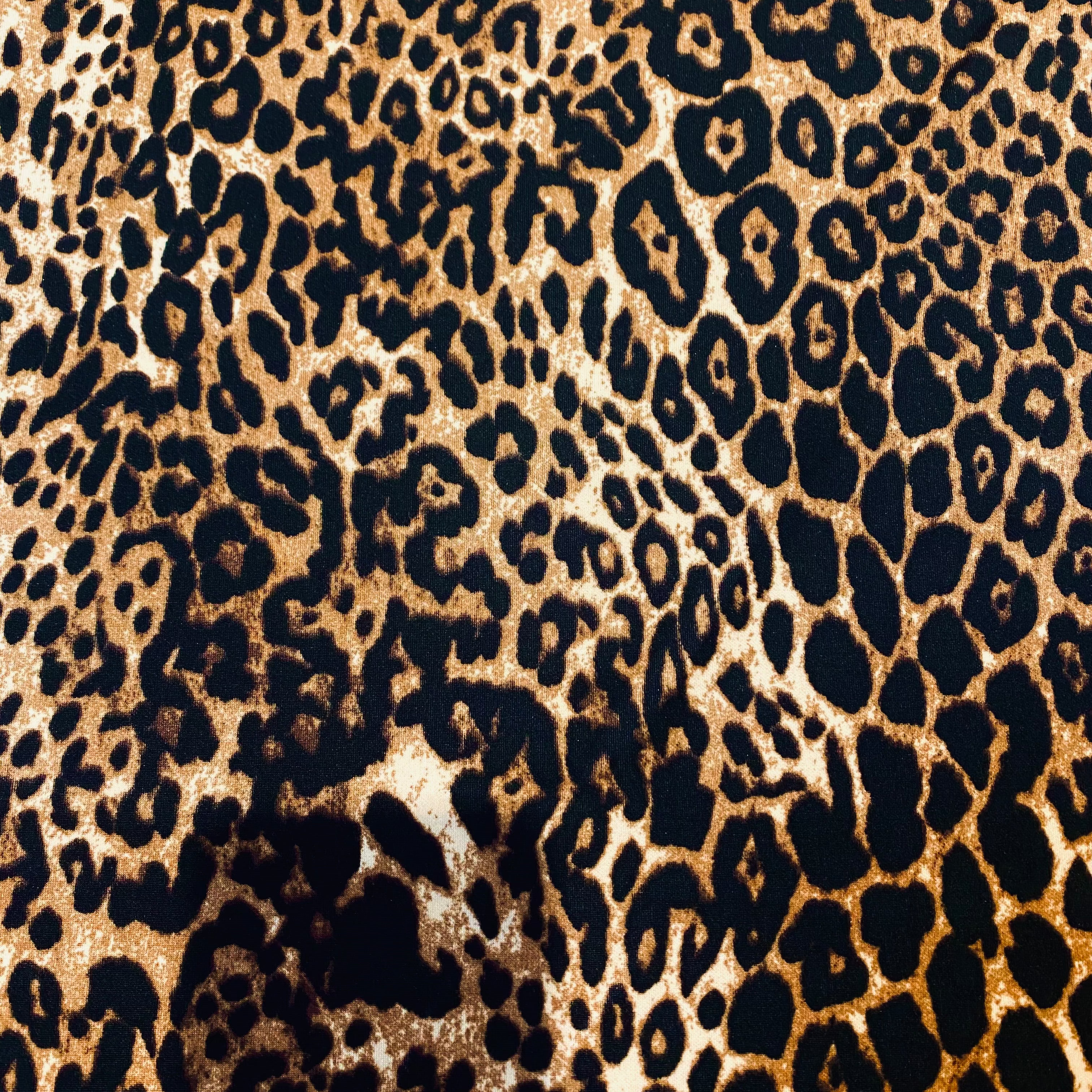Scuba Black Leopard Print